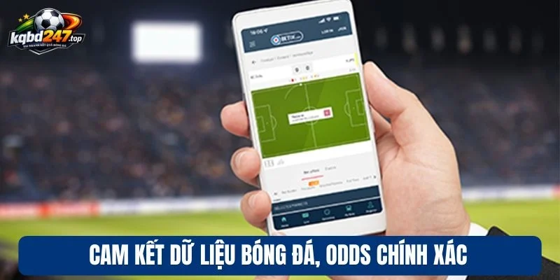 Trang chủ 183 Cam kết dữ liệu bóng đá, odds chính xác