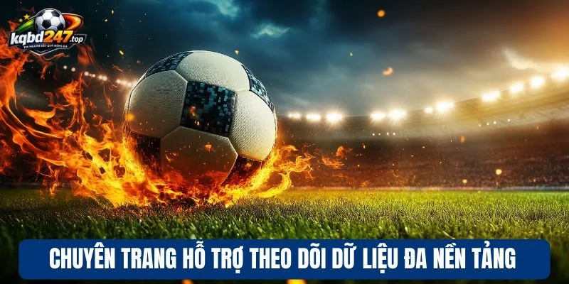 Trang chủ 184 Chuyên trang hỗ trợ theo dõi dữ liệu đa nền tảng