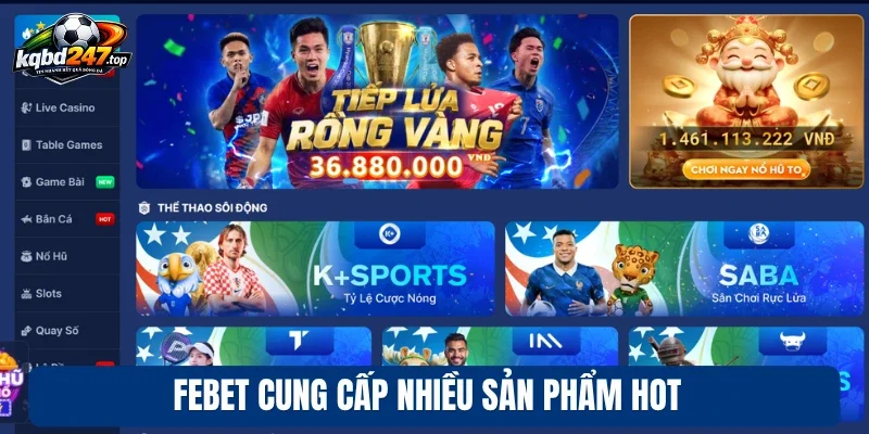 Febet cung cấp nhiều sản phẩm hot
